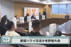 愛媛ハワイ交流少年野球大会