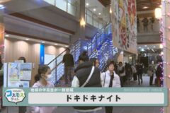 ドキドキナイト