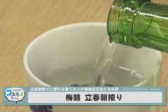 梅錦 立春朝搾り