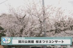 関川公民館 桜まつりコンサート