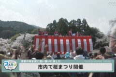 市内で桜まつり開催