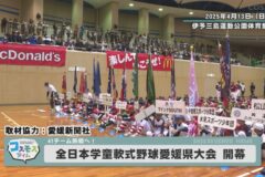 全日本学童軟式野球愛媛県大会開幕