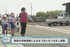 豊岡小学校さつまいものつるさし体験