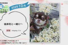 2025年10月放送　8