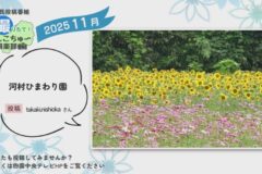 2025年11月放送　7