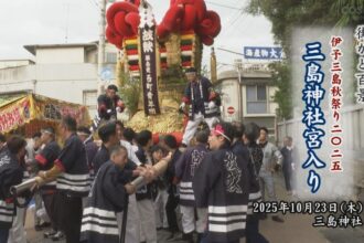街かど百景：伊予三島秋祭り2025三島神社宮入り