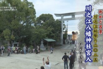 街かど百景：川之江秋祭り2025川之江八幡神社宮入