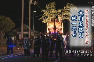 街かど百景：伊予三島秋祭り2025 寒川太鼓台統一寄せ