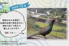 2025年12月放送　1