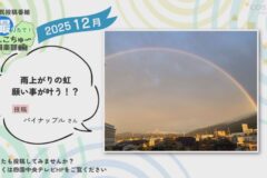 2025年12月放送　2