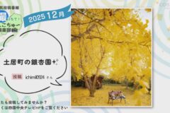 2025年12月放送　4