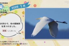 2026年1月放送　1