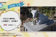 2026年1月放送　5