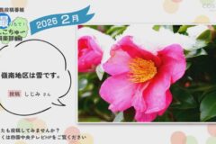 2026年2月放送　1