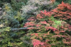 空から百景：富郷の秋