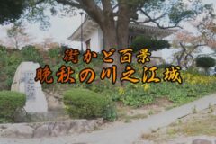 街かど百景：晩秋の川之江城