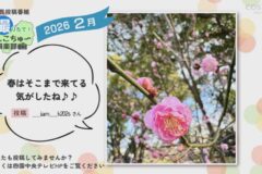 2026年2月放送　6