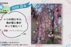 2026年3月放送　1