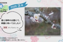 2026年3月放送　2