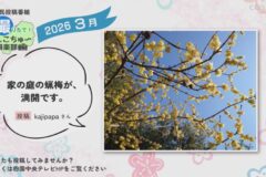 2026年3月放送　3