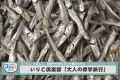 いりこ倶楽部「大人の修学旅行」