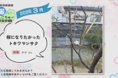 2026年3月放送　6
