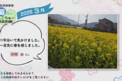 2026年3月放送　7