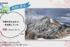2026年4月放送　1
