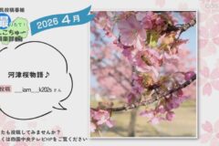 2026年4月放送　2