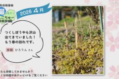 2026年4月放送　3