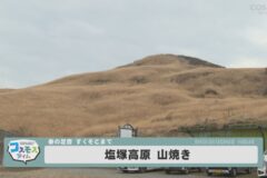 塩塚高原山焼き