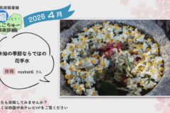 2026年4月放送　4