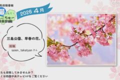 2026年4月放送　5
