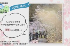 2026年4月放送　6