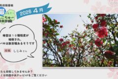 2026年4月放送　7