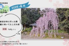 2026年4月放送　9