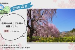 2026年4月放送　11