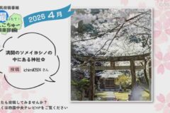 2026年4月放送　12
