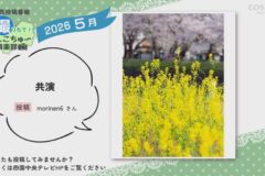 2026年5月放送　1