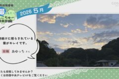 2026年5月放送　2