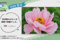 2026年5月放送　3