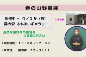春の山野草展