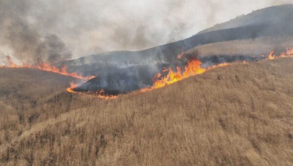 塩塚高原山焼き