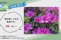 2026年5月放送　6