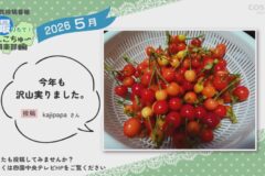 2026年5月放送　7