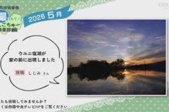 2026年5月放送　9