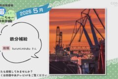 2026年5月放送　12