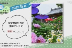 2026年5月放送　5