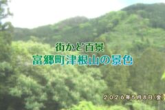 街かど百景：富郷町津根山の景色