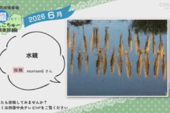 2026年6月放送　6